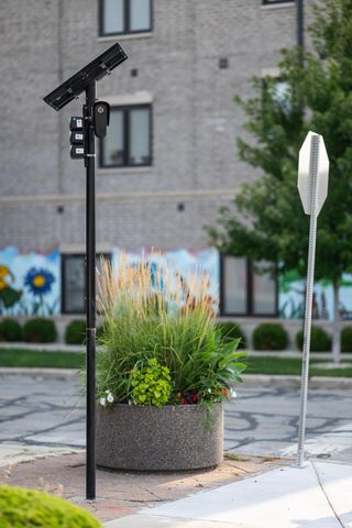 A Flock ALPR mounted on a pole at an intersection in Oak Park with a planter of tall grass in the background.