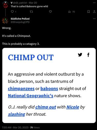 Racist term posted by Detective Shawn Popow; Source: X